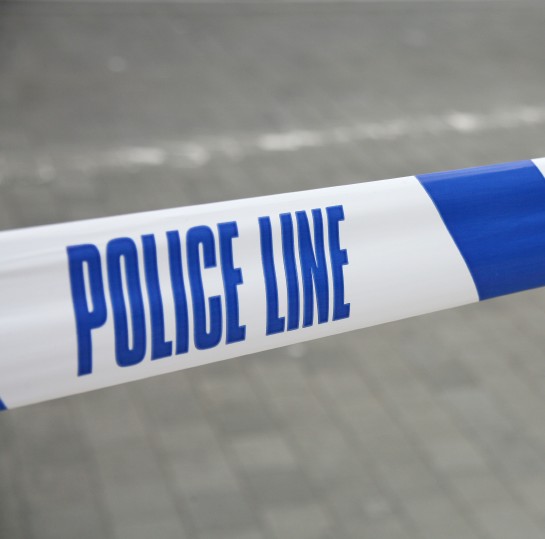 WTF?! Now unpaid POLICE interns?