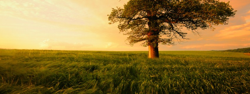 Has the coalition abandoned graduates?