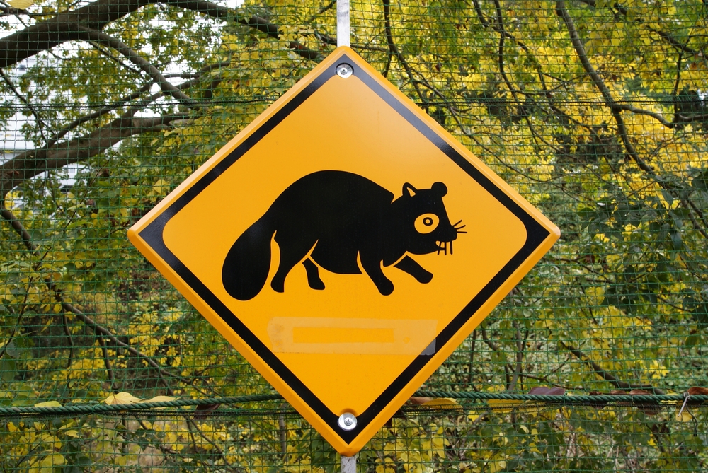 Interns should ‘eat roadkill’ to save cash for unpaid placements