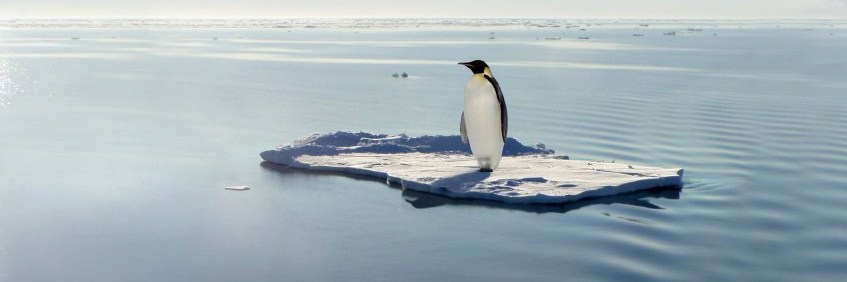 Penguin publishing: “We pay our interns above the minimum wage”